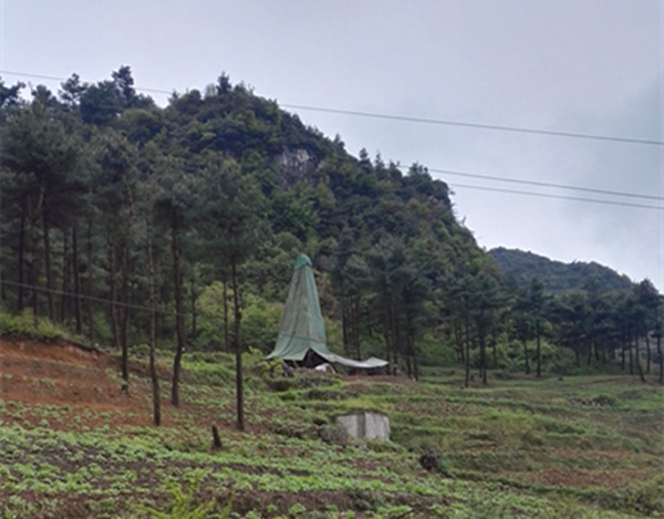 把脈“黔”鋅地，問(wèn)診開(kāi)良方